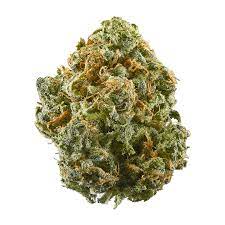 Buy Blue Dream Strain