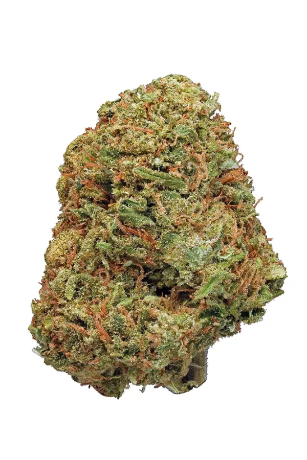 Buy Northern Lights Strain Online