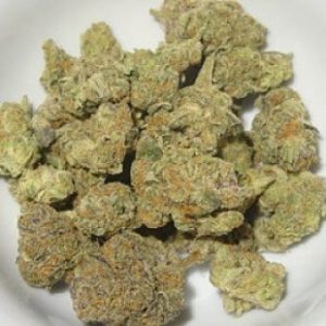 Buy AK 47 Strain Online