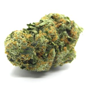 buy Jack Herer strain