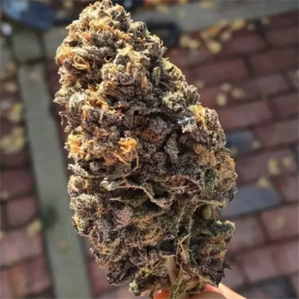 Buy Granddaddy Purple Online