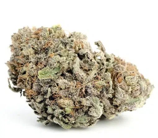 Buy Blackberry Kush Strain