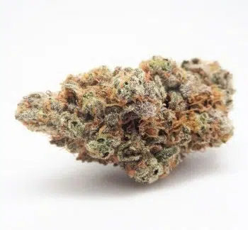 Buy Bruce Banner Strain Online 