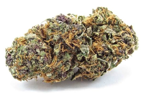 Buy Forbidden Fruit Strain