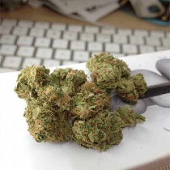 Buy Master Bubba Kush Online