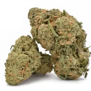 Buy Durban Poison strain