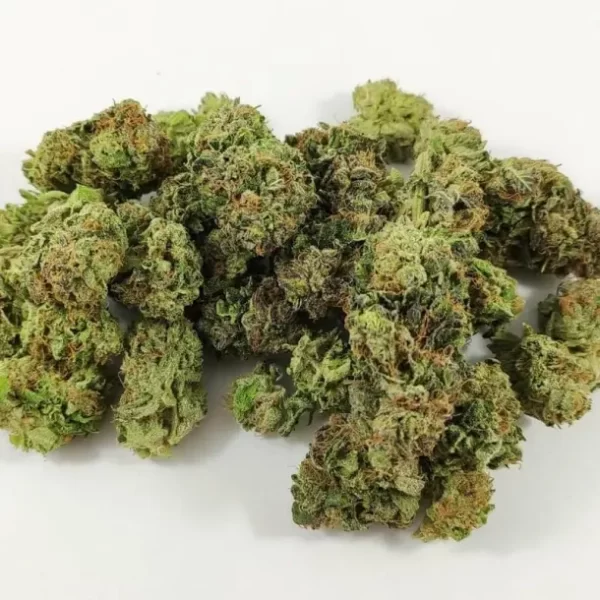 Buy Maui Waui Strain