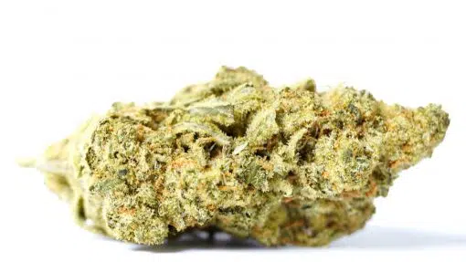 Buy Super Silver Haze Online